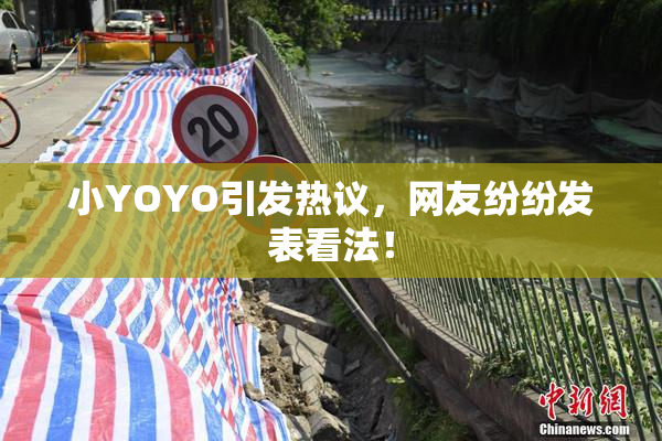 小YOYO引发热议，网友纷纷发表看法！