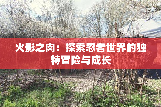 火影之肉：探索忍者世界的独特冒险与成长