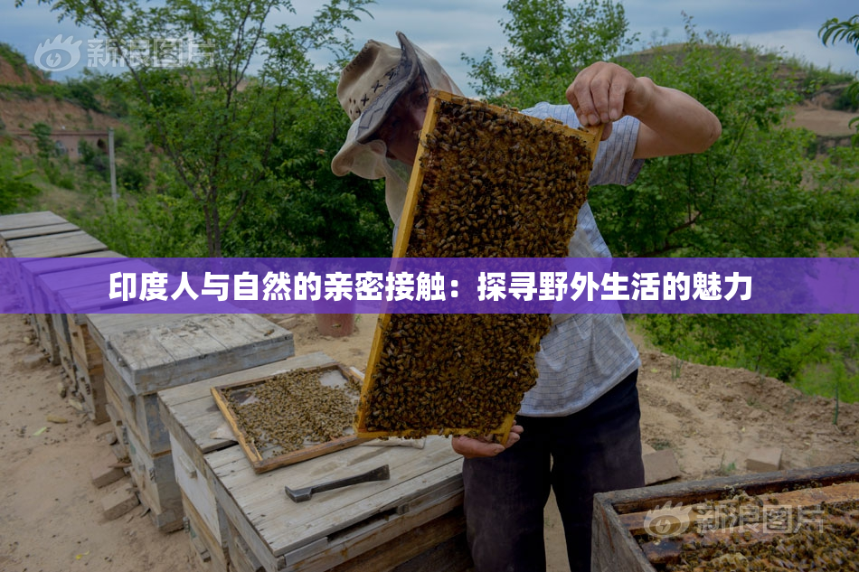 印度人与自然的亲密接触：探寻野外生活的魅力