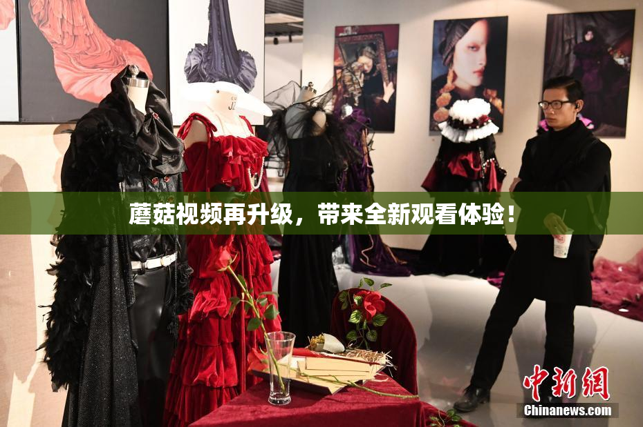 蘑菇视频再升级，带来全新观看体验！