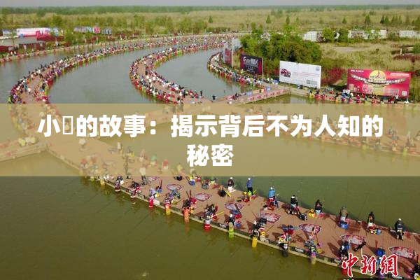 小泬的故事：揭示背后不为人知的秘密