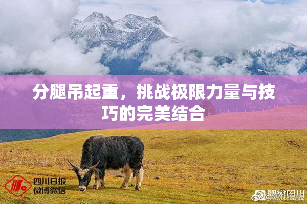 分腿吊起重，挑战极限力量与技巧的完美结合