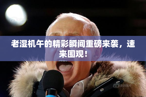 老湿机午的精彩瞬间重磅来袭，速来围观！