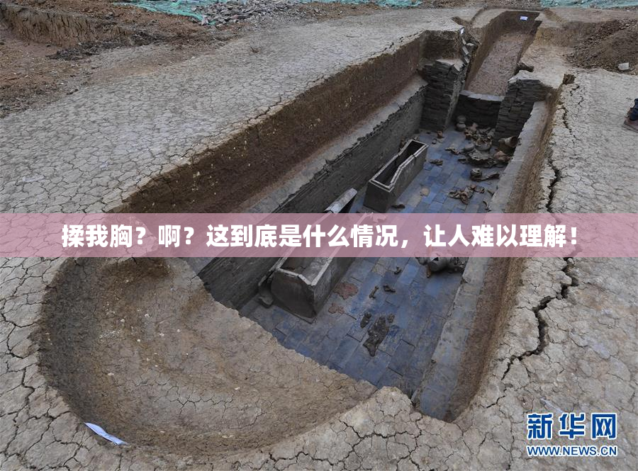 揉我胸？啊？这到底是什么情况，让人难以理解！