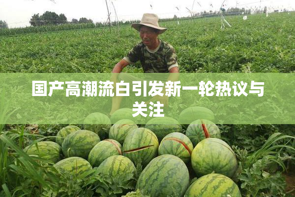 国产高潮流白引发新一轮热议与关注