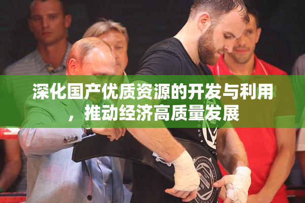 深化国产优质资源的开发与利用，推动经济高质量发展