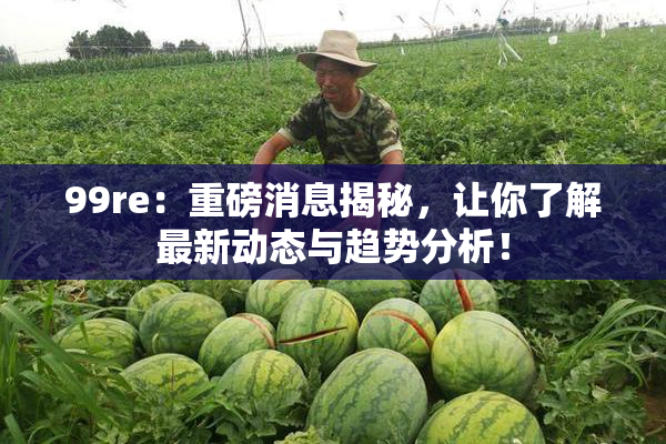 99re：重磅消息揭秘，让你了解最新动态与趋势分析！