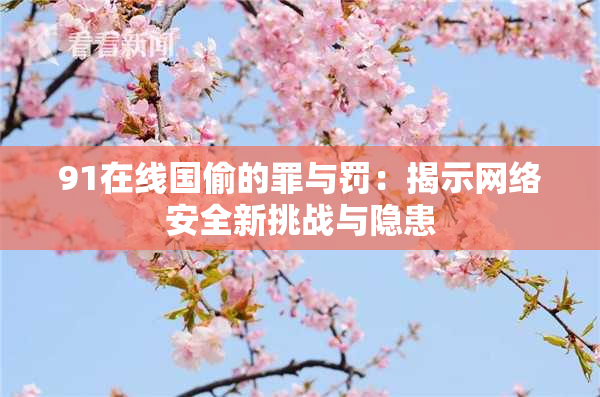 91在线国偷的罪与罚：揭示网络安全新挑战与隐患