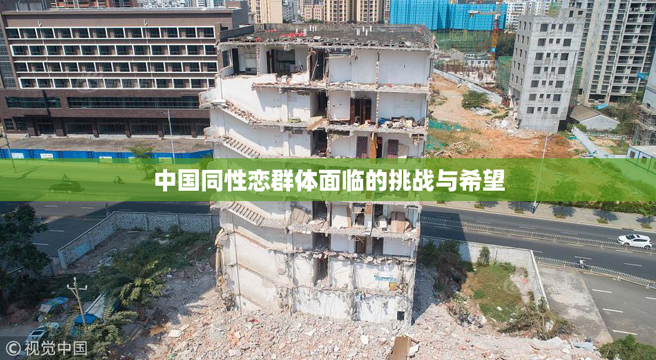 中国同性恋群体面临的挑战与希望
