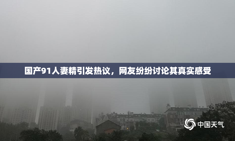 国产91人妻精引发热议，网友纷纷讨论其真实感受