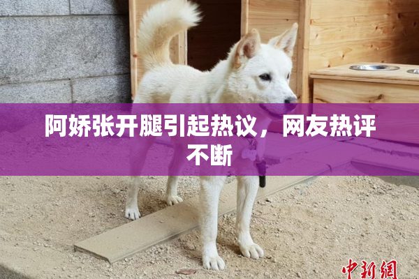 阿娇张开腿引起热议，网友热评不断