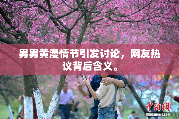 男男黄漫情节引发讨论，网友热议背后含义。