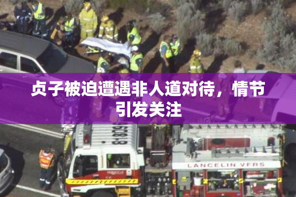 贞子被迫遭遇非人道对待，情节引发关注