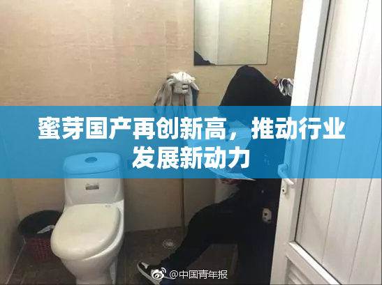蜜芽国产再创新高，推动行业发展新动力
