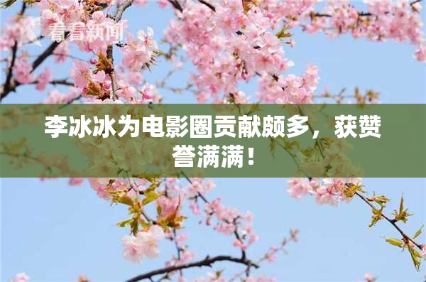 李冰冰为电影圈贡献颇多，获赞誉满满！
