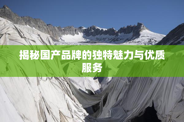 揭秘国产品牌的独特魅力与优质服务