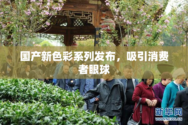 国产新色彩系列发布，吸引消费者眼球
