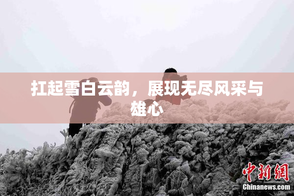 扛起雪白云韵，展现无尽风采与雄心