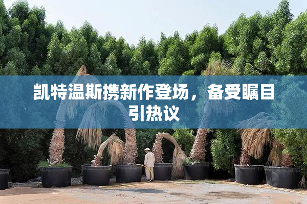 凯特温斯携新作登场，备受瞩目引热议