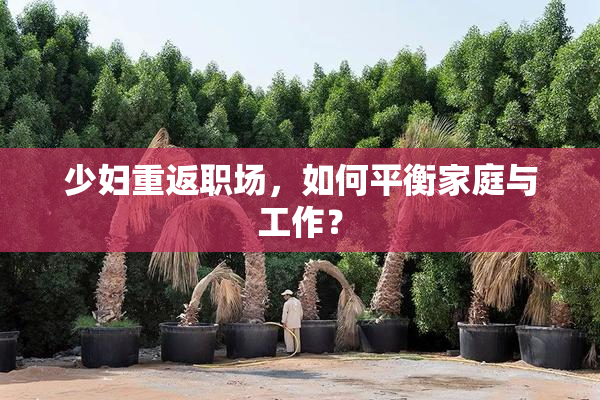 少妇重返职场，如何平衡家庭与工作？