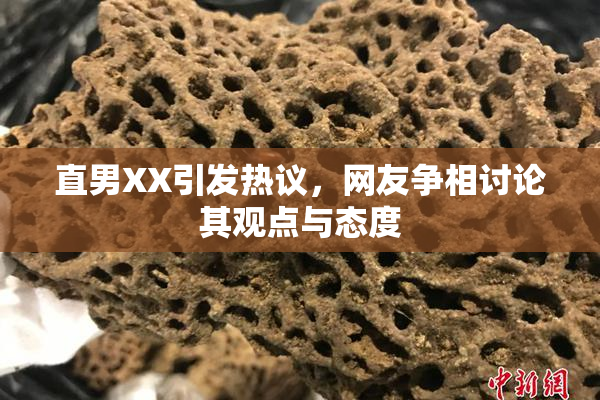 直男XX引发热议，网友争相讨论其观点与态度
