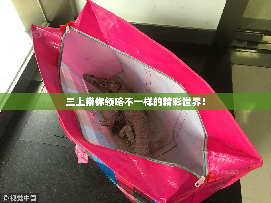 三上带你领略不一样的精彩世界！