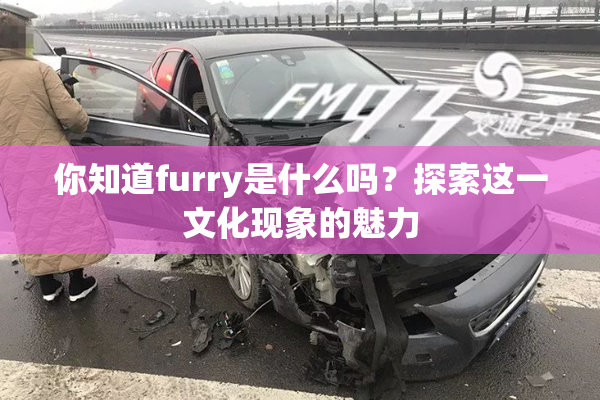 你知道furry是什么吗？探索这一文化现象的魅力