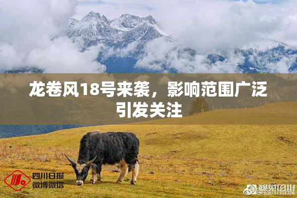 龙卷风18号来袭，影响范围广泛引发关注