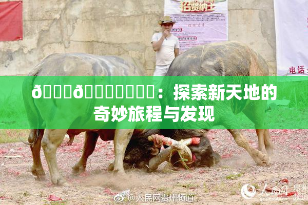 🍆🍑❌‌❌‌：探索新天地的奇妙旅程与发现
