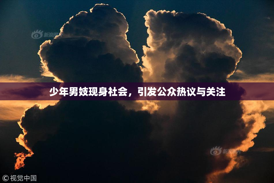 少年男妓现身社会，引发公众热议与关注