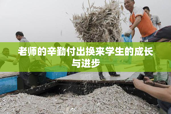 老师的辛勤付出换来学生的成长与进步