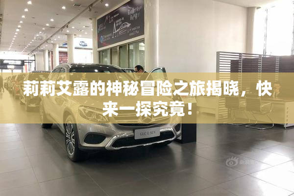 莉莉艾露的神秘冒险之旅揭晓，快来一探究竟！