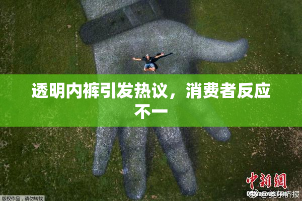 透明内裤引发热议，消费者反应不一