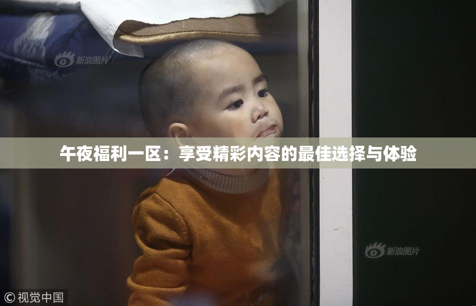 午夜福利一区：享受精彩内容的最佳选择与体验