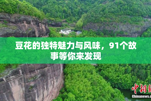 豆花的独特魅力与风味，91个故事等你来发现