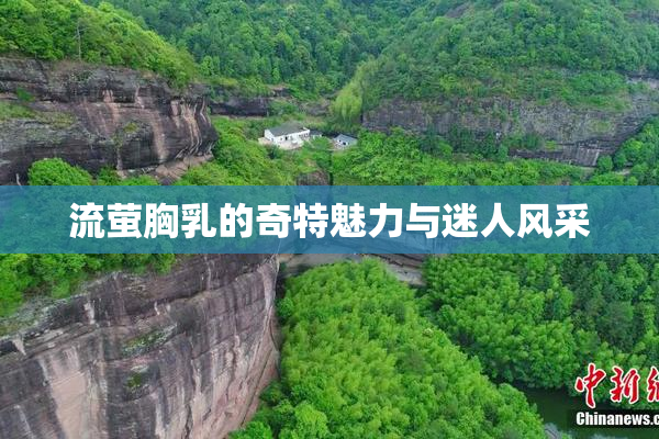 流萤胸乳的奇特魅力与迷人风采