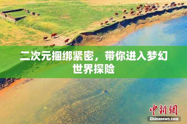 二次元捆绑紧密，带你进入梦幻世界探险
