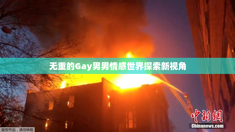 无重的Gay男男情感世界探索新视角
