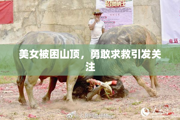 美女被困山顶，勇敢求救引发关注