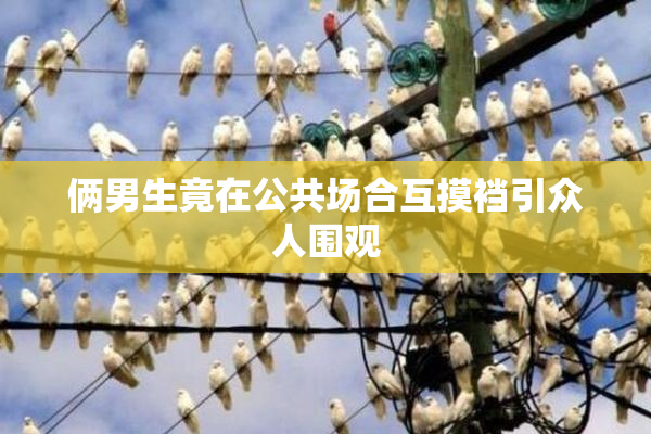俩男生竟在公共场合互摸裆引众人围观