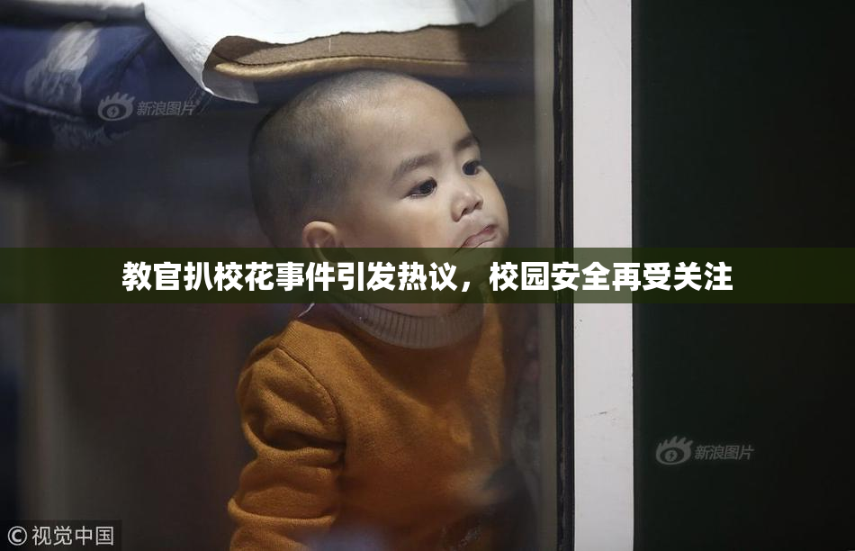 教官扒校花事件引发热议，校园安全再受关注