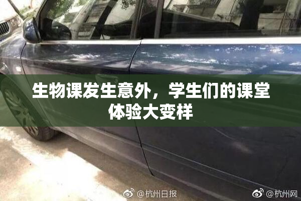 生物课发生意外，学生们的课堂体验大变样