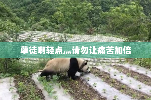 孽徒啊轻点灬请勿让痛苦加倍