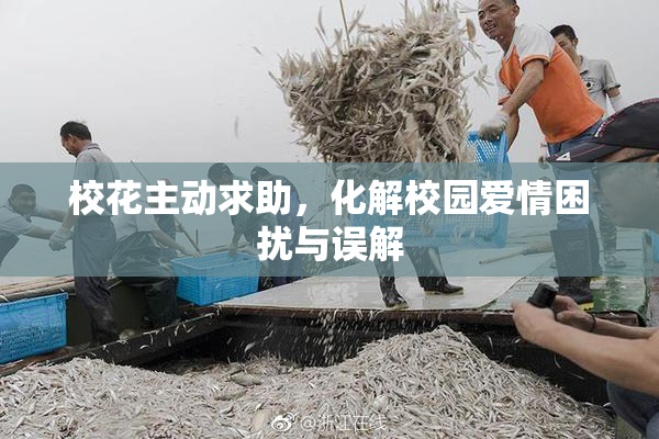 校花主动求助，化解校园爱情困扰与误解