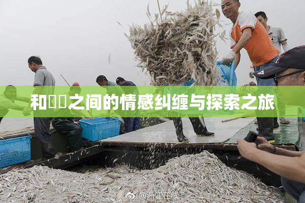 和妺妺之间的情感纠缠与探索之旅
