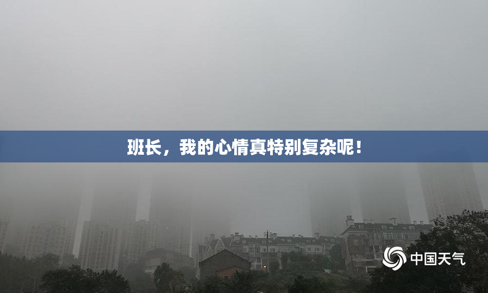 班长，我的心情真特别复杂呢！