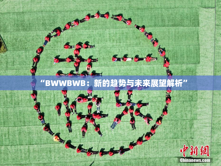 “BWWBWB：新的趋势与未来展望解析”