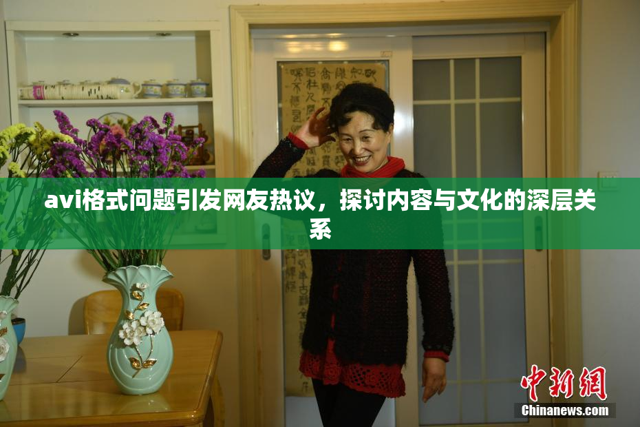 avi格式问题引发网友热议，探讨内容与文化的深层关系