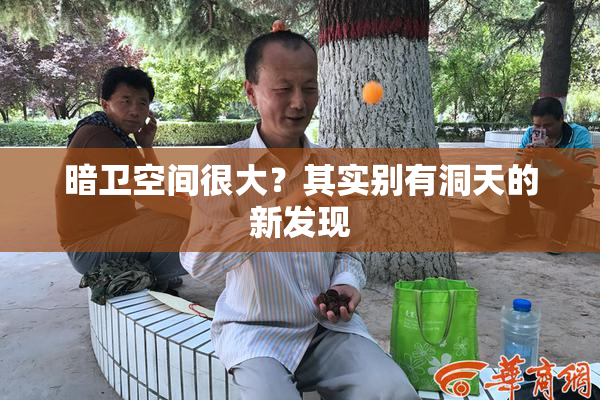 暗卫空间很大？其实别有洞天的新发现