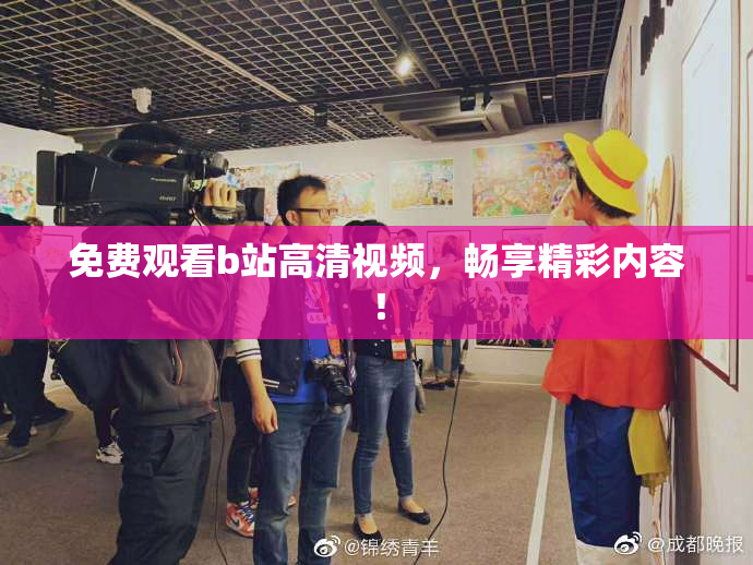 免费观看b站高清视频，畅享精彩内容！